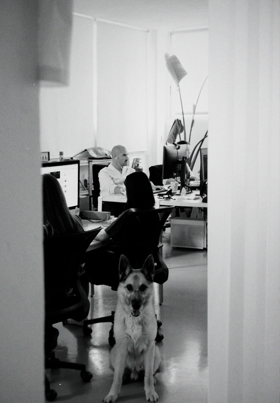 3tg — Tres Tipos Gráficos, projects (fig. 12)