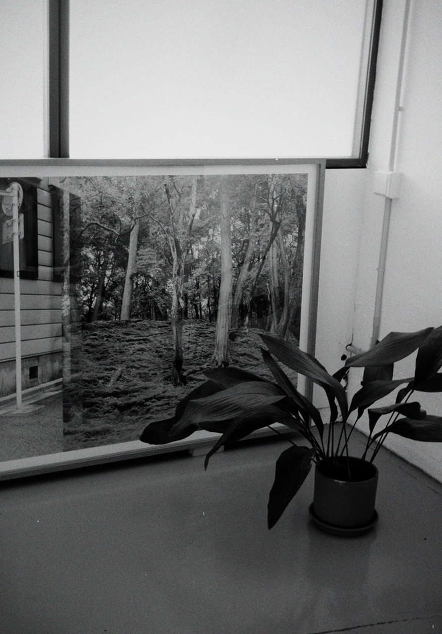 3tg — Tres Tipos Gráficos, projects (fig. 6)